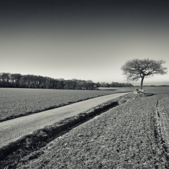 A31