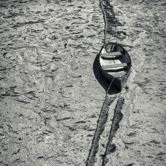 Sur la terre ferme
